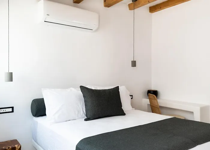 Ryous Mykonos מלון *